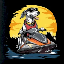 Chrt na vodnom skútri