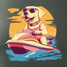 Zlatý retriever na vodnom skútri