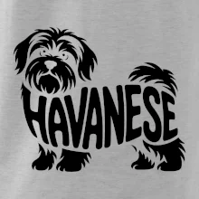 Havanese nápis v tele