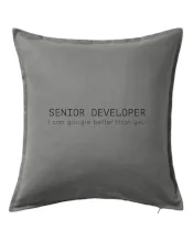Senior developer google better than you