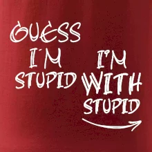 Guess iam stupid