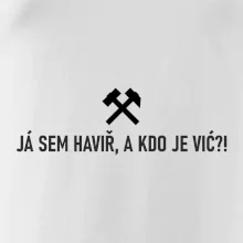 JÁ SEM HAVIŘ, A KDO JE VIĆ?!﻿