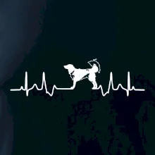 Český strakatý pes EKG