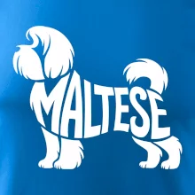 Maltézsky psík nápis v tele