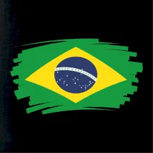 Brazília vlajka štetkou Brazília vlajka štetkou
