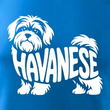 Havanese nápis v tele