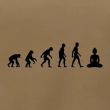 Evoluce budha