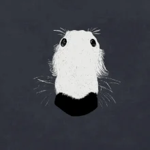 Barzoj čumák (Moňas)