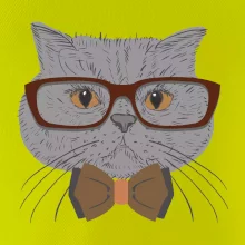 Hipster britská modrá