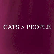 Cats > people
