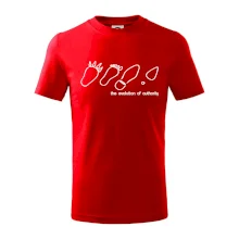 Evolution of authority