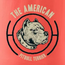 Americký pitbull terier hlava