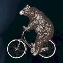 Medveď na bicykli