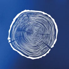 Letokruhy 75 bez veku Letokruhy 75 bez veku