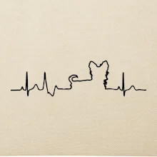 Yorkshirský teriér EKG