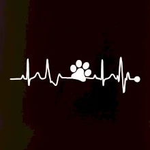 Ekg psia labka Ekg psia labka