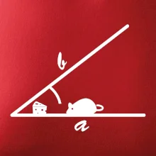 Matematická myš Matematická myš