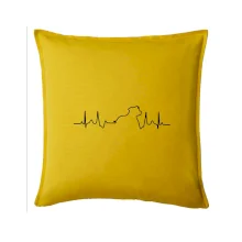 Stafordšírsky bulteriér ‎ EKG