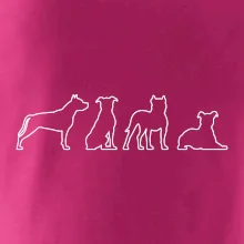 Americký stafordšírsky teriér v rôznych pozíciách