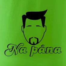 Na pána Na pána