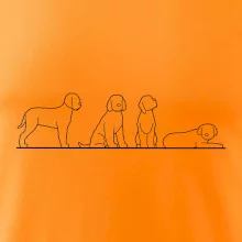 Lagotto romagnolo postavy linka