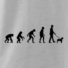 Lagotto romagnolo Evolúcia