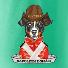 Napoleon domáci kríženec