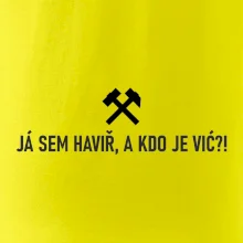 JÁ SEM HAVIŘ, A KDO JE VIĆ?!﻿