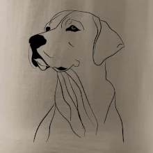 Labrador čierna kresba