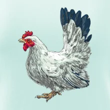 Sliepka kreslená biela