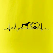 Chrt - Ekg Chrt - Ekg