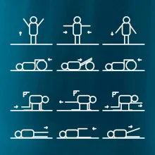 Fyziológia cviky Fyziológia cviky