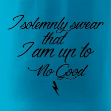 I solemnly swear that I'm up to no good
