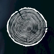 Letokruhy 90 bez veku Letokruhy 90 bez veku