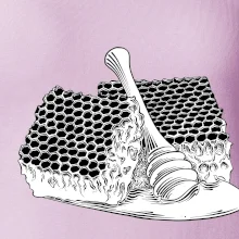 Plást s medom Plást s medom