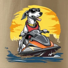 Chrt na vodnom skútri