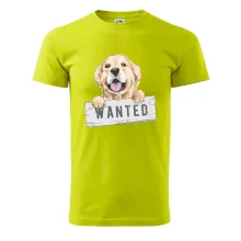 Zlatý retriever - šteniatko wanted