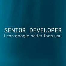 Senior developer google better than you
