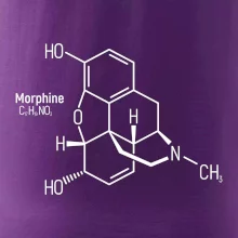 Molekulárna štruktúra Morfín