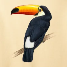 Tukan kreslený