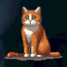 Mačka hrdzavá Mačka hrdzavá