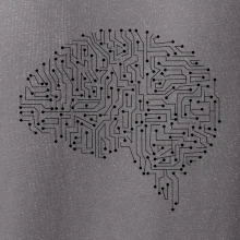 Tlačený spoj mozog