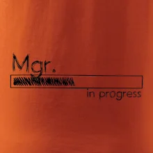 In progress titul Mgr. magister / magistra