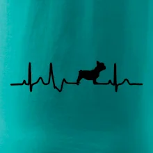 EKG Francouzský buldoček z boku