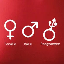 Female male programmer