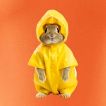 Králik v pláštenke