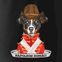 Napoleon domáci kríženec