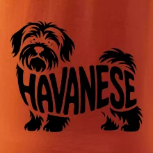 Havanese nápis v tele