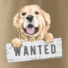Zlatý retriever - šteniatko wanted