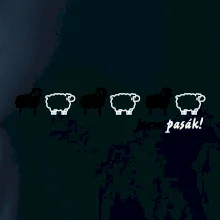 Som pasák - ovce v rade